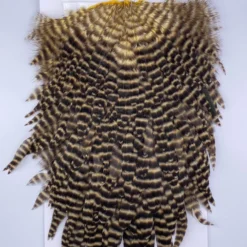 Hackle Whiting Red Label Hen Saddle