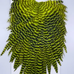 Hackle Whiting Red Label Hen Saddle