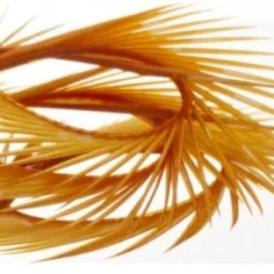 Semperfli Inferno Goose Biots Feathers & Marabou