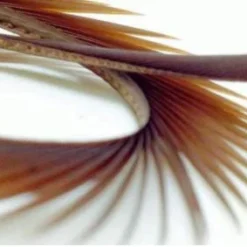 Semperfli Inferno Goose Biots Feathers & Marabou