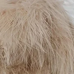 Nature's Spirit Fish Hunter Premium Strung Marabou Feathers & Marabou