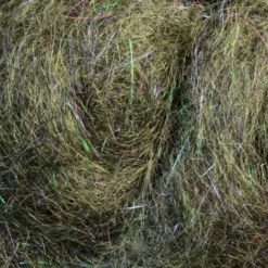 Rohmer Arizona Mega Simi Seal