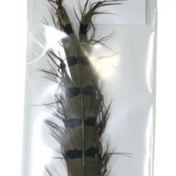 Feathers & Marabou Semperfli Single Knee Knotted Pheasant Tail