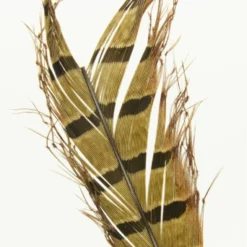 Semperfli Knotted Cranefly Legs Feathers & Marabou