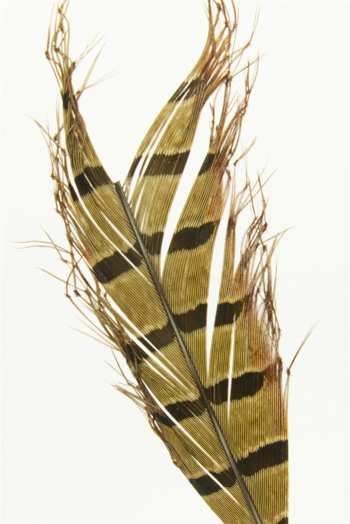 Semperfli Knotted Cranefly Legs Feathers & Marabou 3 Semperfli Knotted Cranefly Legs Feathers & Marabou