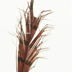 Semperfli Knotted Cranefly Legs Feathers & Marabou 6 Semperfli Knotted Cranefly Legs Feathers & Marabou