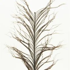 Semperfli Knotted Hopper Legs