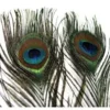 Hareline Peacock Eye Sticks