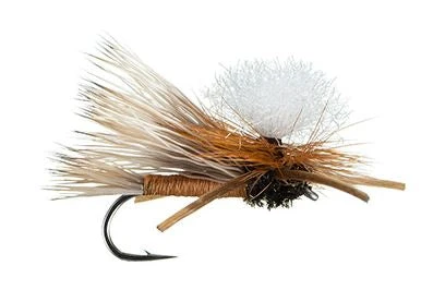 MFC Swisher's PMX - Orange 3 MFC Swisher's PMX - Orange