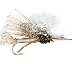 MFC Swisher's PMX - Tan