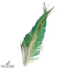 Nature's Spirit Feathers & Marabou Peacock Swords - Matched Pair