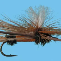 Solitude Para. X - Orange Shop Flies