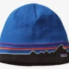 Patagonia Beanie Hat