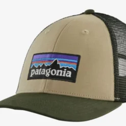 Patagonia P-6 LoPro Trucker Hat Hats