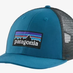 Patagonia P-6 LoPro Trucker Hat Hats