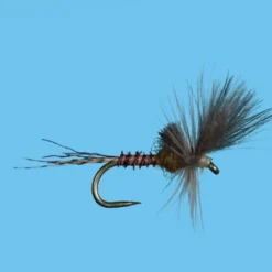 Solitude Harrop's Last Chance Cripple - BWO