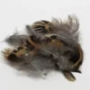Hackle Nature's Spirit Premium Ruffed Grouse