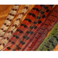 Hareline Feathers & Marabou UV2 Ringneck Pheasant Tail