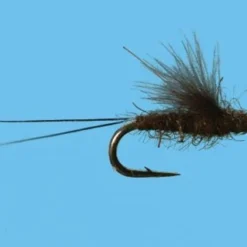 Solitude RS2 - Chocolate