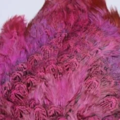 Nature's Spirit Feathers & Marabou Fish Hunter Ringneck Pheasant Rump Patch