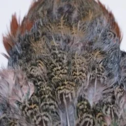 Nature's Spirit Feathers & Marabou Fish Hunter Ringneck Pheasant Rump Patch