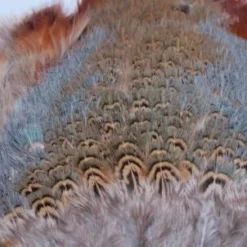 Nature's Spirit Feathers & Marabou Fish Hunter Ringneck Pheasant Rump Patch