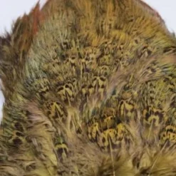Nature's Spirit Feathers & Marabou Fish Hunter Ringneck Pheasant Rump Patch