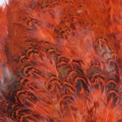Nature's Spirit Feathers & Marabou Fish Hunter Ringneck Pheasant Rump Patch