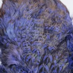 Nature's Spirit Feathers & Marabou Fish Hunter Ringneck Pheasant Rump Patch