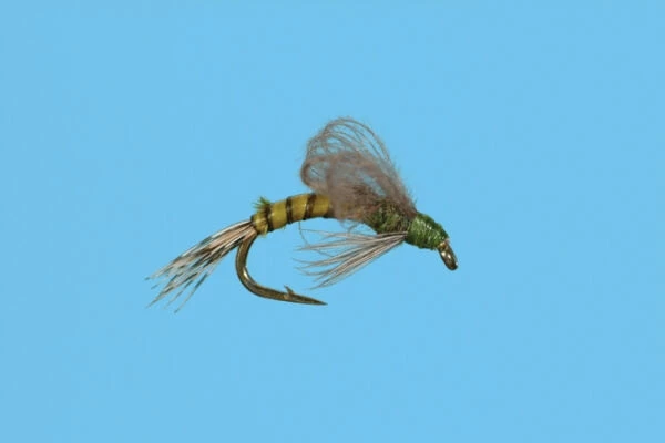 Solitude Loop Wing Emerger - Olive Shop Flies 3 Solitude Loop Wing Emerger - Olive Shop Flies