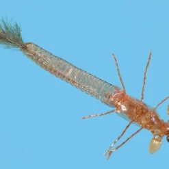 Solitude Ultra Damsel Nymph - Tan