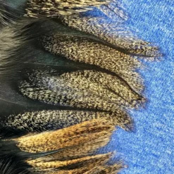 Pablo Hackle Spanish Coq De Leon