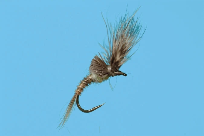 Solitude Shop Flies Morris May Emerger - PMD 3 Solitude Shop Flies Morris May Emerger - PMD