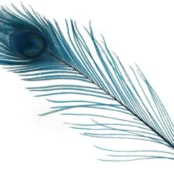 Spirit River Dyed Peacock Eyes Feathers & Marabou