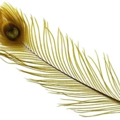 Spirit River Dyed Peacock Eyes Feathers & Marabou