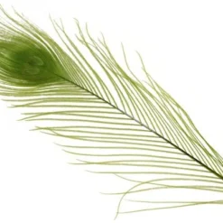 Spirit River Dyed Peacock Eyes Feathers & Marabou