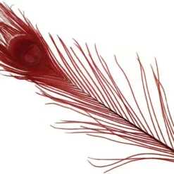 Spirit River Dyed Peacock Eyes Feathers & Marabou