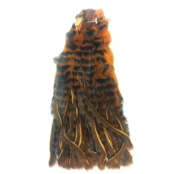 Wapsi Pine Squirrel Skin - Barred - Zonked