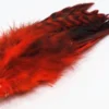 Nature's Spirit Grizzly Variant Schlappen Hackle 1 Nature's Spirit Grizzly Variant Schlappen Hackle