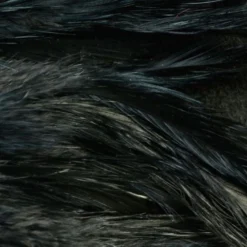 Nature's Spirit Hackle Fish Hunter Select Schlappen