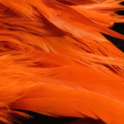 Nature's Spirit Hackle Fish Hunter Select Schlappen