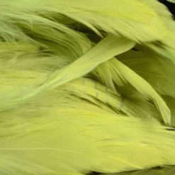 Nature's Spirit Hackle Fish Hunter Select Schlappen