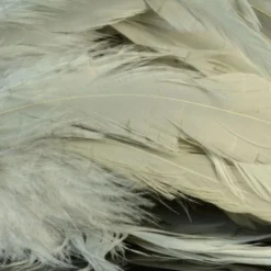 Nature's Spirit Hackle Fish Hunter Select Schlappen