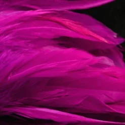 Nature's Spirit Hackle Fish Hunter Select Schlappen