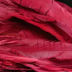 Nature's Spirit Hackle Fish Hunter Select Schlappen