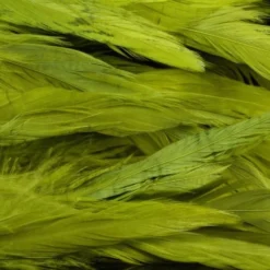 Nature's Spirit Hackle Fish Hunter Select Schlappen