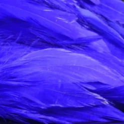 Nature's Spirit Hackle Fish Hunter Select Schlappen