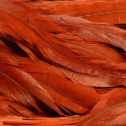 Nature's Spirit Hackle Fish Hunter Select Schlappen