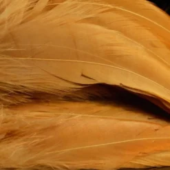 Nature's Spirit Hackle Fish Hunter Select Schlappen