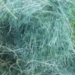 Semperfli SemperSeal Substitute Dubbing